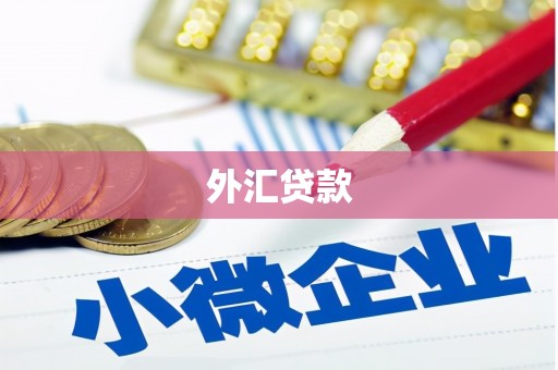 正阳外汇贷款