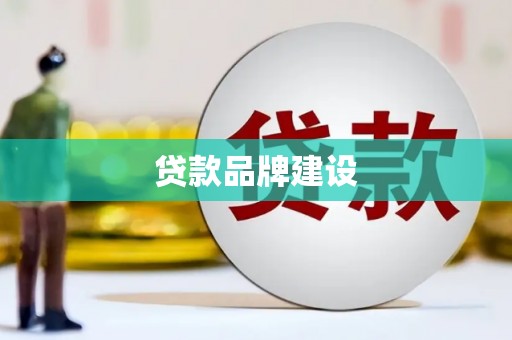 正阳贷款品牌建设