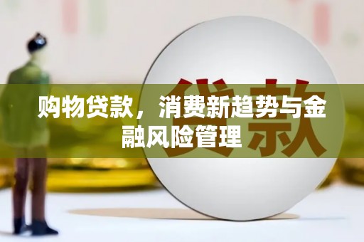正阳购物贷款，消费新趋势与金融风险管理
