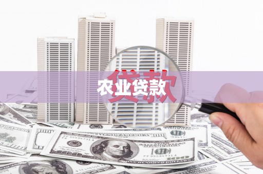 正阳农业贷款