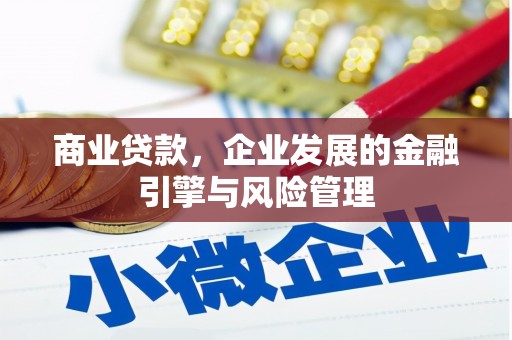 正阳商业贷款，企业发展的金融引擎与风险管理