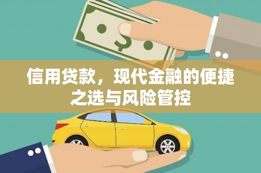 正阳信用贷款，现代金融的便捷之选与风险管控
