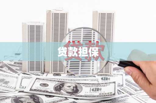 正阳贷款担保