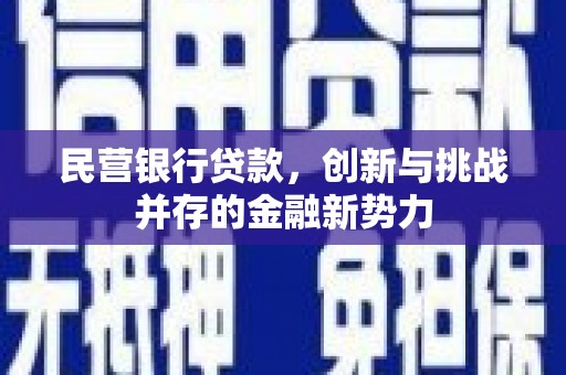 正阳民营银行贷款，创新与挑战并存的金融新势力