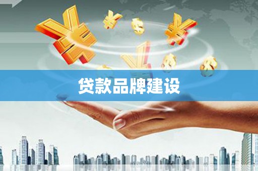 正阳贷款品牌建设