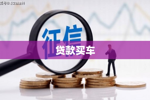 正阳贷款买车