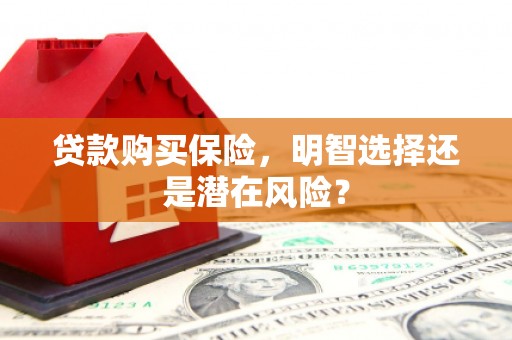 正阳贷款购买保险，明智选择还是潜在风险？