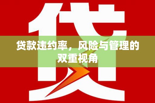 正阳贷款违约率，风险与管理的双重视角