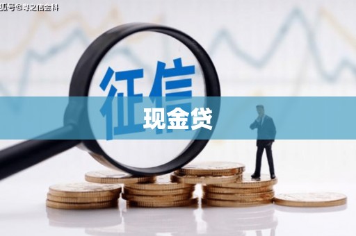 正阳现金贷
