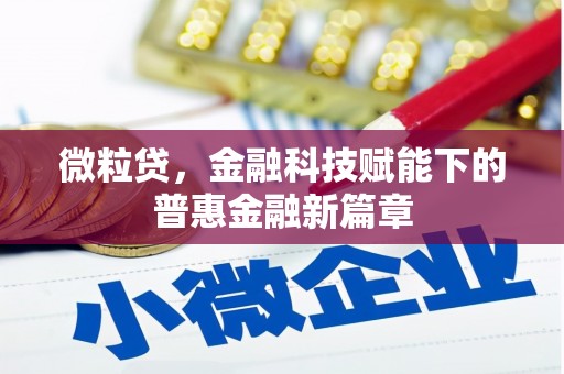 正阳微粒贷，金融科技赋能下的普惠金融新篇章