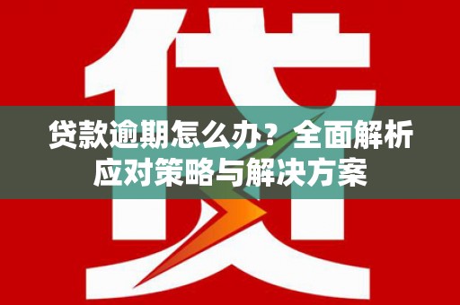 正阳贷款逾期怎么办？全面解析应对策略与解决方案
