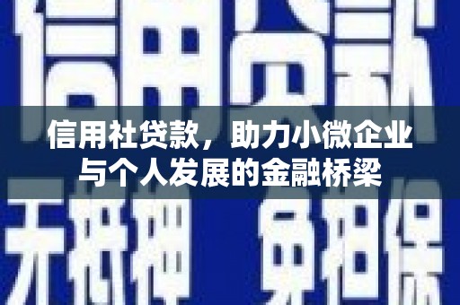 正阳信用社贷款，助力小微企业与个人发展的金融桥梁