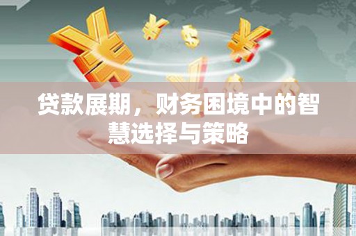 正阳贷款展期，财务困境中的智慧选择与策略