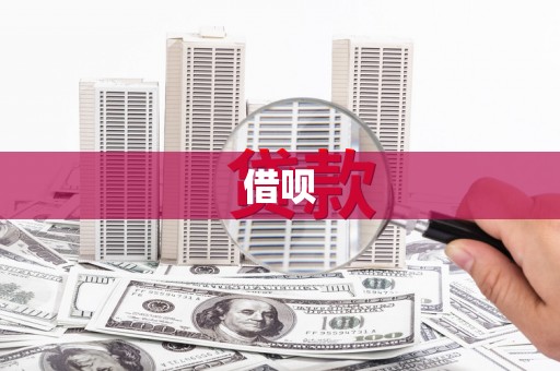 正阳借呗