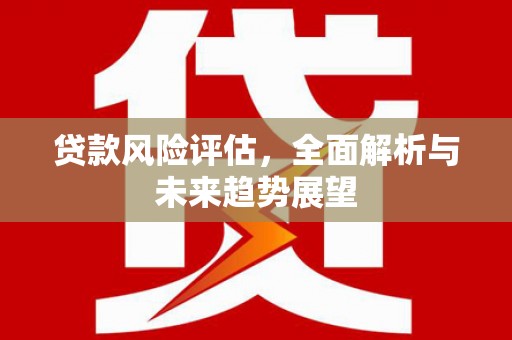 正阳贷款风险评估，全面解析与未来趋势展望