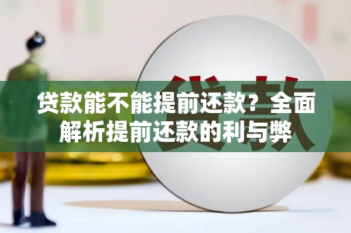 正阳贷款能不能提前还款？全面解析提前还款的利与弊