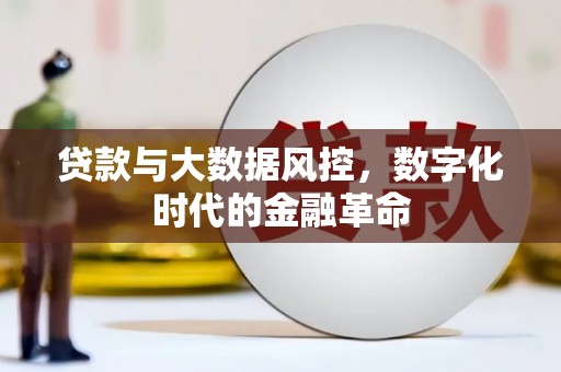 正阳贷款与大数据风控，数字化时代的金融革命