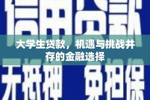 正阳大学生贷款，机遇与挑战并存的金融选择