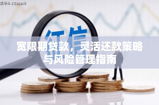 正阳宽限期贷款，灵活还款策略与风险管理指南