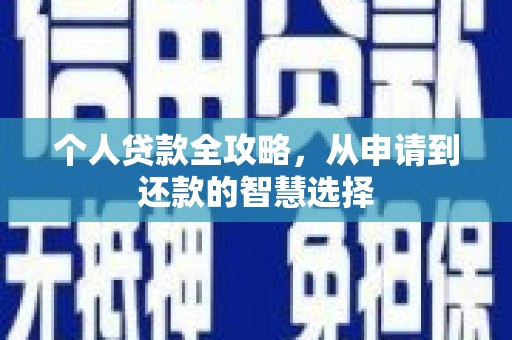 正阳个人贷款全攻略，从申请到还款的智慧选择
