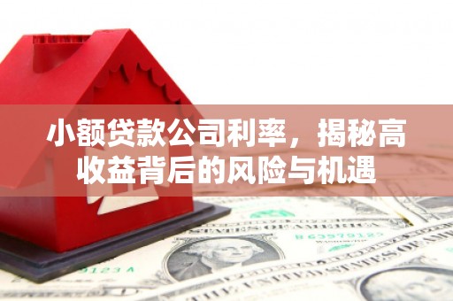 正阳小额贷款公司利率，揭秘高收益背后的风险与机遇