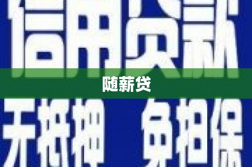 正阳随薪贷