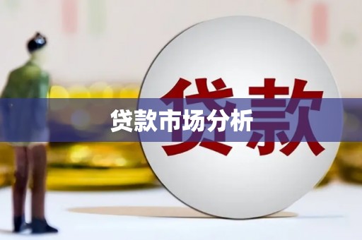 正阳贷款市场分析
