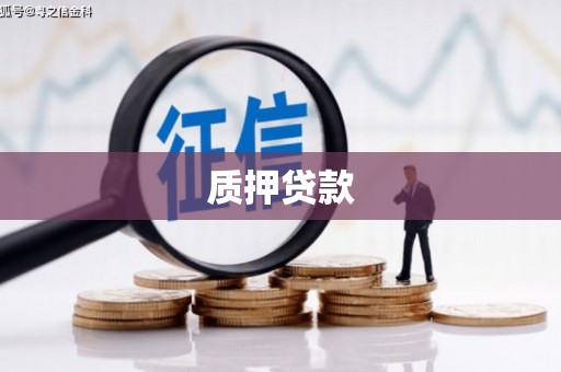 正阳质押贷款