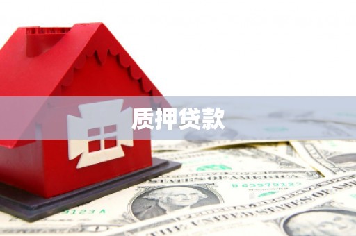 正阳质押贷款