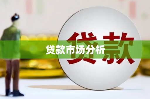 正阳贷款市场分析