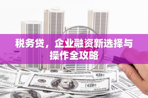正阳税务贷，企业融资新选择与操作全攻略