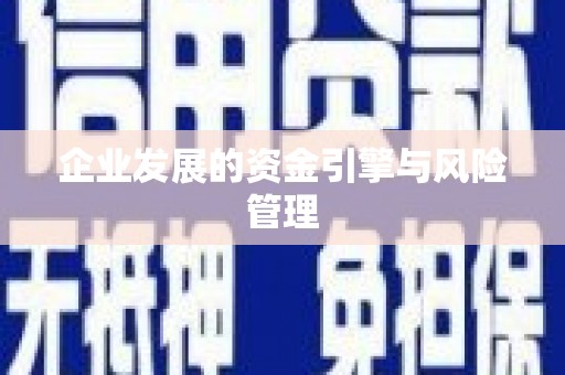 正阳企业发展的资金引擎与风险管理