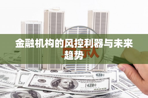 正阳金融机构的风控利器与未来趋势
