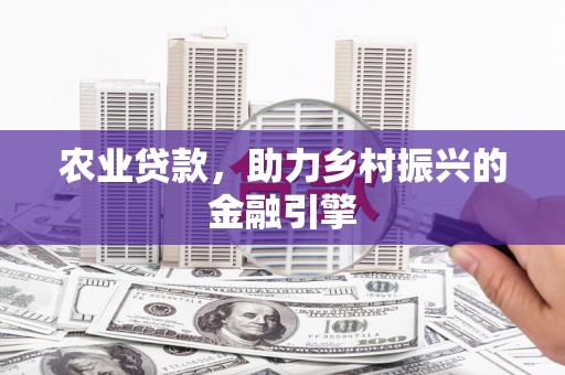 正阳农业贷款，助力乡村振兴的金融引擎