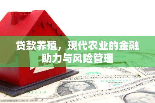 正阳贷款养殖，现代农业的金融助力与风险管理