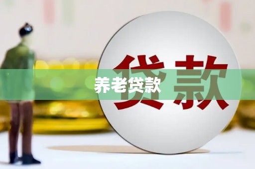 正阳养老贷款