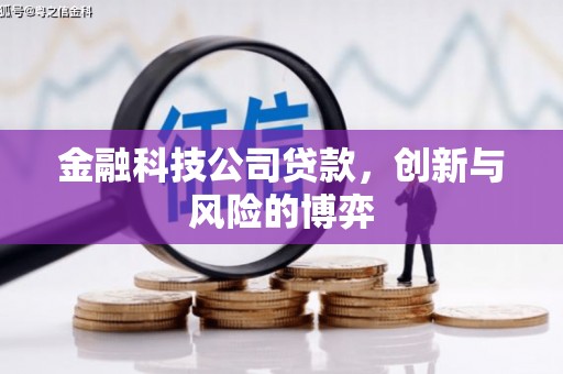 正阳金融科技公司贷款，创新与风险的博弈