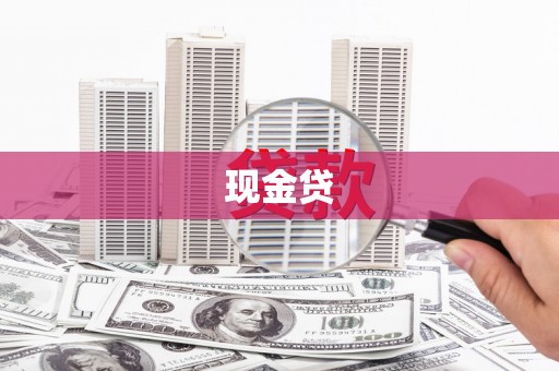 正阳现金贷