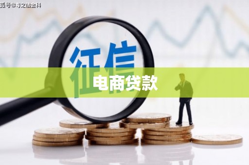 正阳电商贷款