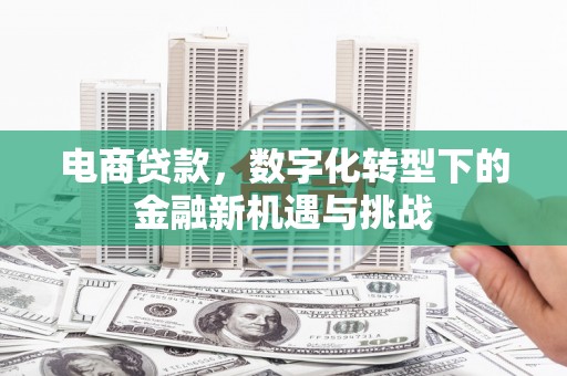 正阳电商贷款，数字化转型下的金融新机遇与挑战