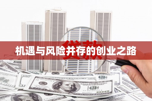 正阳机遇与风险并存的创业之路