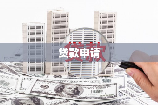 正阳贷款申请