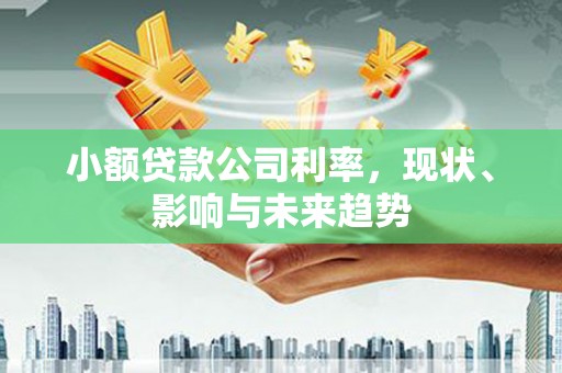 正阳小额贷款公司利率，现状、影响与未来趋势