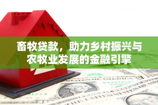 正阳畜牧贷款，助力乡村振兴与农牧业发展的金融引擎
