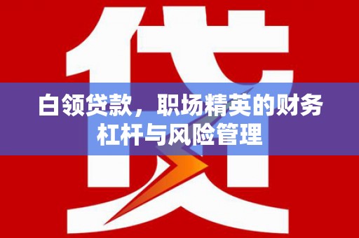 正阳白领贷款，职场精英的财务杠杆与风险管理