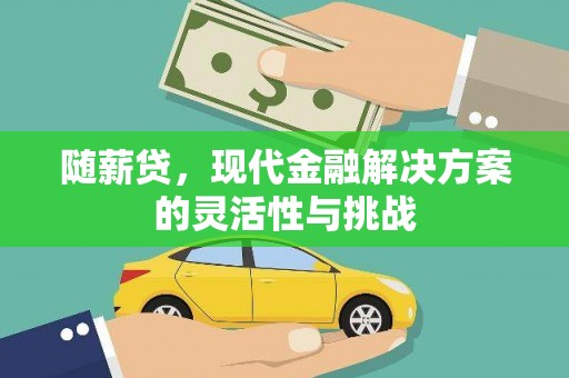 正阳随薪贷，现代金融解决方案的灵活性与挑战