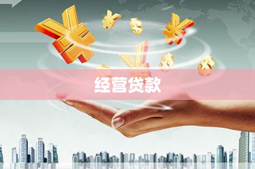 正阳经营贷款