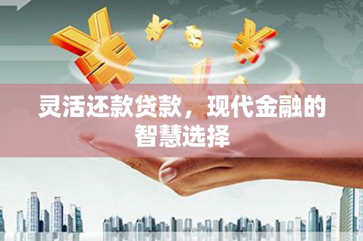 正阳灵活还款贷款，现代金融的智慧选择