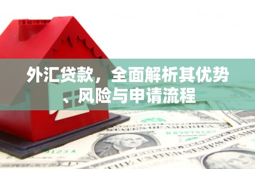 正阳外汇贷款，全面解析其优势、风险与申请流程