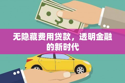 正阳无隐藏费用贷款，透明金融的新时代
